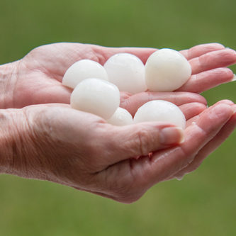 Hailstone In Hand